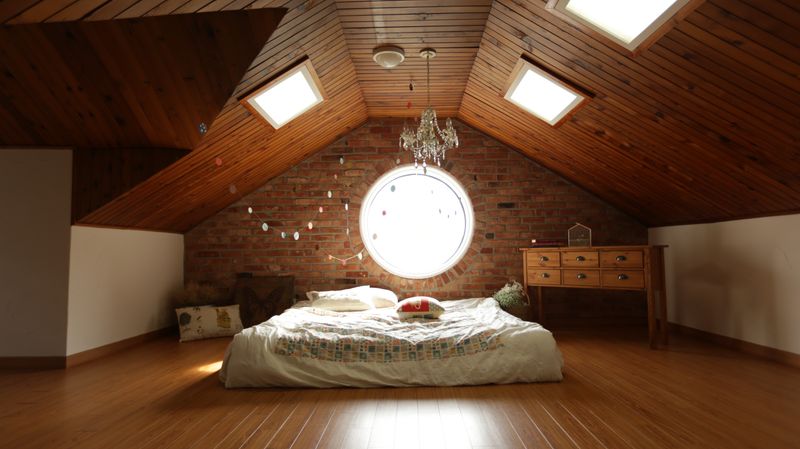 Cortinas del Sur: adaptations